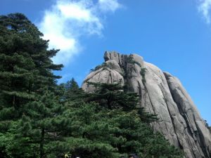 期末留抵稅額 期末留抵稅額