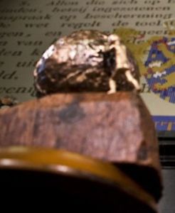 國際兒童和平獎 國際兒童和平獎