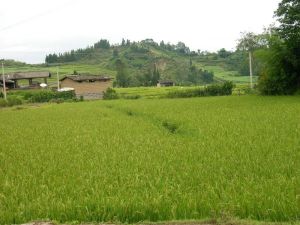 水塘坡自然村 水塘坡自然村