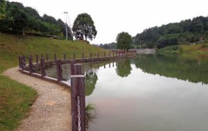 唐寨山森林公園