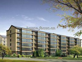 香河三強實業集團 香河三強實業集團