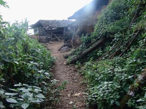 上拉波村 上拉波村