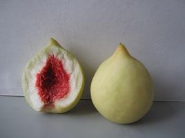 鐵嶺秋桃 鐵嶺秋桃