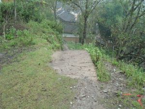 樂廣自然村 樂廣自然村