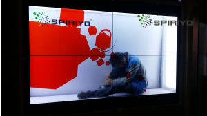 智慧型櫥窗 智慧型櫥窗