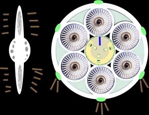 帝囚飛碟 帝囚飛碟