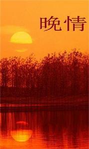 晚情 晚情
