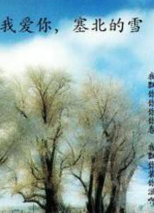 《我愛你，塞北的雪》