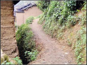 團結阿白山村 團結阿白山村