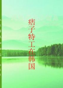 痞子特工在韓國