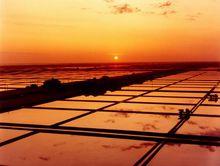 濰坊濱海經濟技術開發區