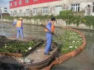 水域環境養護保潔員 水域環境養護保潔員