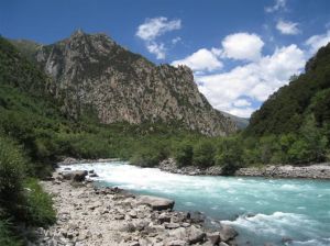 泉眼河戰鬥 泉眼河戰鬥