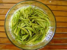 安溪白茶 安溪白茶