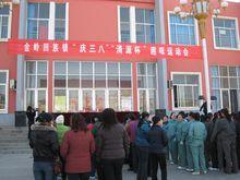 金嶺鎮[山東省淄博市臨淄區下轄鎮]