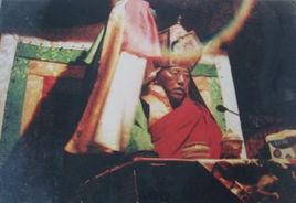 才保活佛 才保活佛