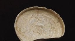 西周的豆（多用作食器或禮器）