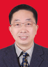 呂鳳林[重慶大學教授]