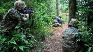 風行拓展培訓真人CS 風行拓展培訓真人CS