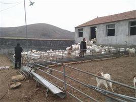 烈山鎮南莊村 烈山鎮南莊村