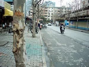 西部名邸 西部名邸