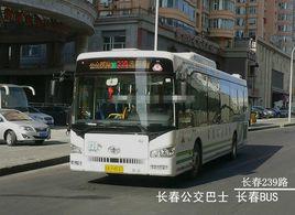 長春公交239路 長春公交239路