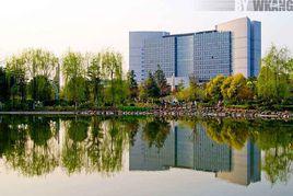 柳州市人民政府 柳州市人民政府