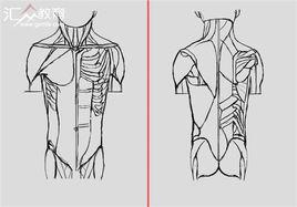 軸下軀幹肌 軸下軀幹肌