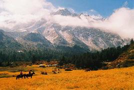 南台子村[遼寧省朝陽市朝陽縣王營子鄉南台子村]