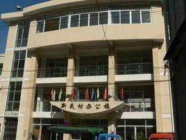 新民村[湖南省郴州市資興市唐洞街道辦事處下轄村]