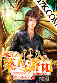 網遊之菜鳥遊記 網遊之菜鳥遊記