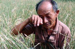 （圖）面對乾旱