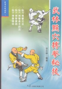 歸一派點穴 歸一派點穴