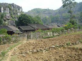 龍秋自然村 龍秋自然村