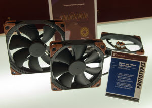 noctua