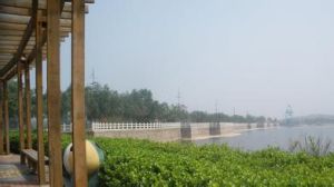 山東龍湖公園
