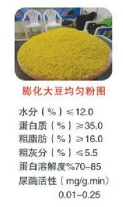 膨化大豆 膨化大豆