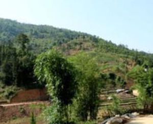 馬家落下村 馬家落下村