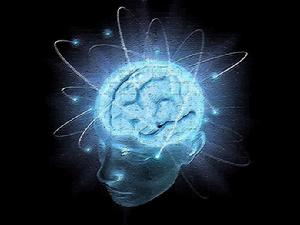 生物神經網路 生物神經網路