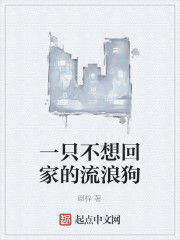 一隻不想回家的流浪狗 一隻不想回家的流浪狗