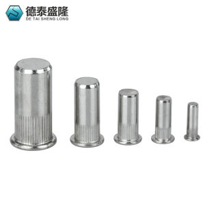 盲孔平頭豎紋拉鉚螺母