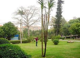 泉州芳草園 泉州芳草園