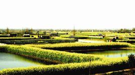 大湖口鎮 大湖口鎮