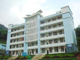 天保口岸學校 天保口岸學校