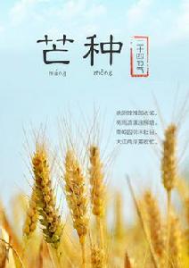 芒種[二十四節氣之一]