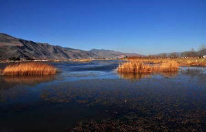 雲南鶴慶東草海國家濕地公園 雲南鶴慶東草海國家濕地公園