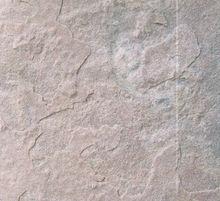 粉紅砂岩 | Pink Sandstone |