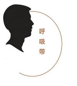 呼吸帶 呼吸帶