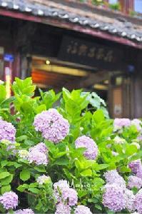 戀上另一個自己 戀上另一個自己