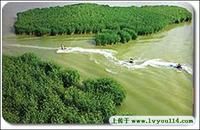 沙湖生態旅遊區 沙湖生態旅遊區